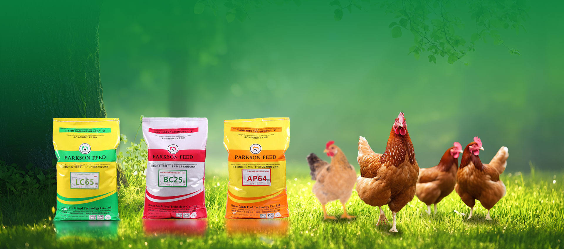 Profesyonel birch premixes manufacturer