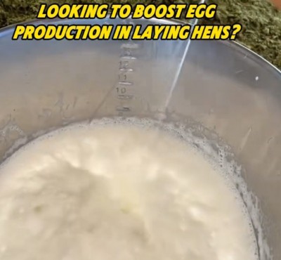 O‘z o‘z o‘z o‘z o‘z o‘z o‘z o‘z o‘z o‘z o‘z o‘z o‘z o‘z o‘z o‘z o‘z o‘z o‘z o‘z o‘z o‘z o‘z o‘z o‘z o‘z o‘z o‘z o‘z o‘z o‘z o‘z o‘z o‘z o‘z o‘z o‘z o‘z?